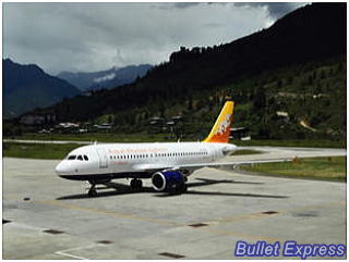 ドゥルック航空のエアバスA319
