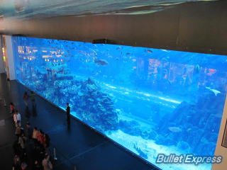 ドバイ・モールの水族館
