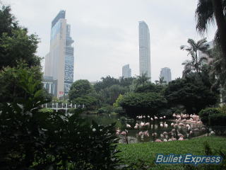 九龍公園から臨む香港のビル