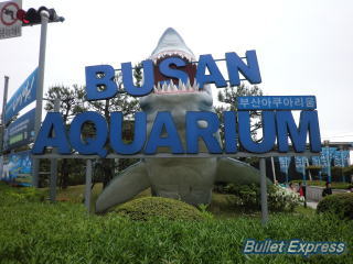 釜山水族館