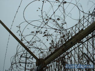 軍事境界線の有刺鉄線