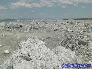 石灰華(Tufa)